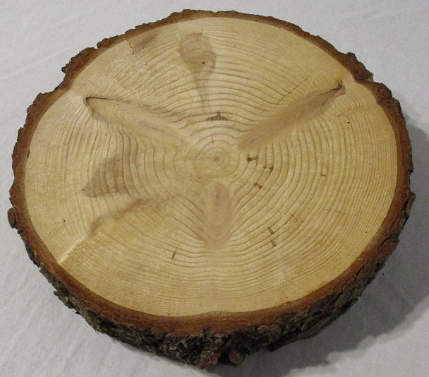 Große Holzscheiben, Tischdekoration, Hochzeitsdekoration, Leihmaterial